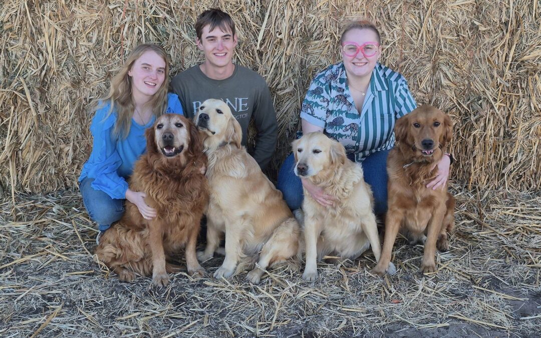 Great Family Dogs